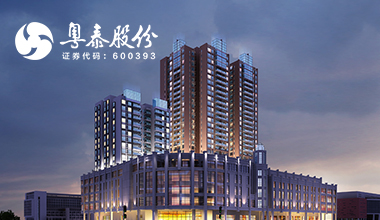 粤泰股份